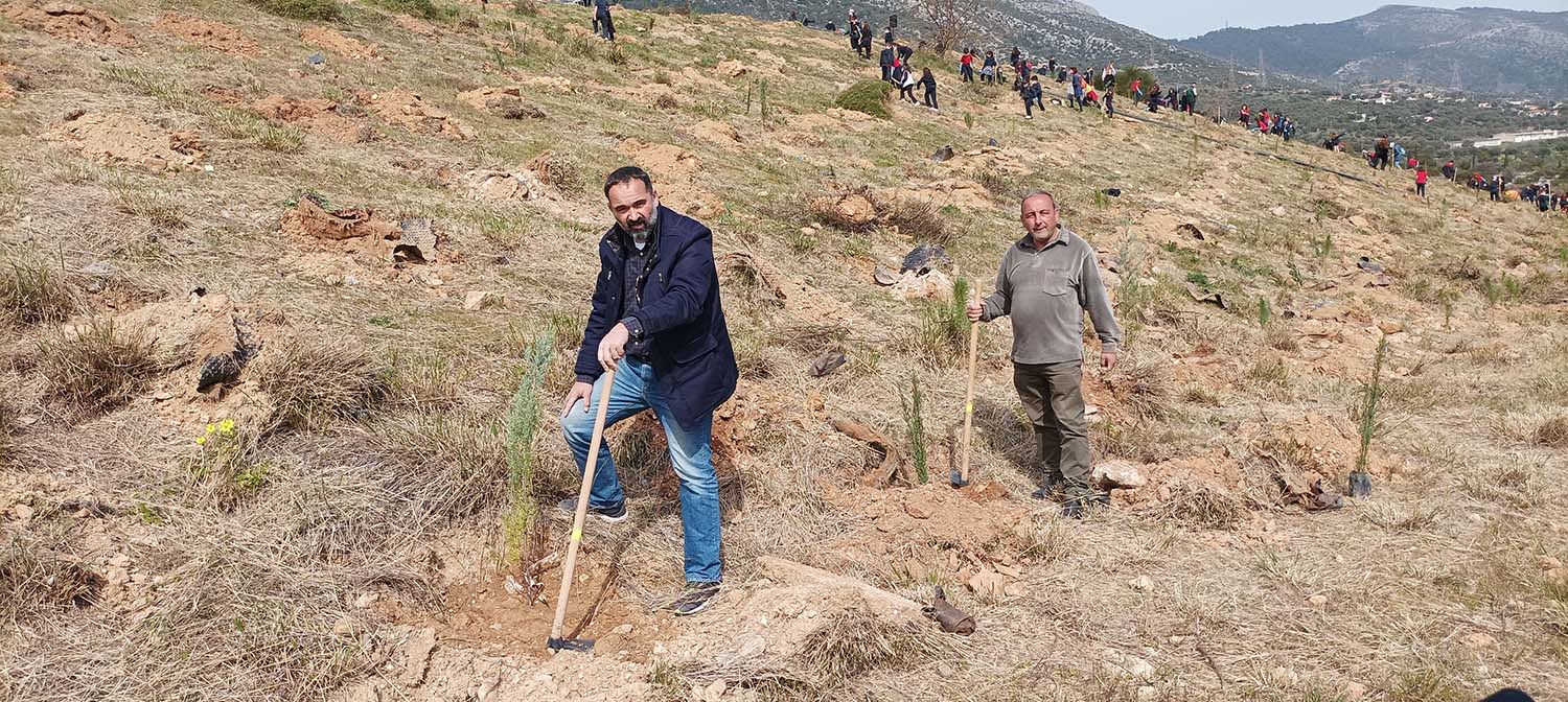 Δήμος Παιανίας: Επιπλέον 1.000 δέντρα στην παλαιά χωματερή - Ξεκινά μεγάλο πρόγραμμα δενδροφύτευσης