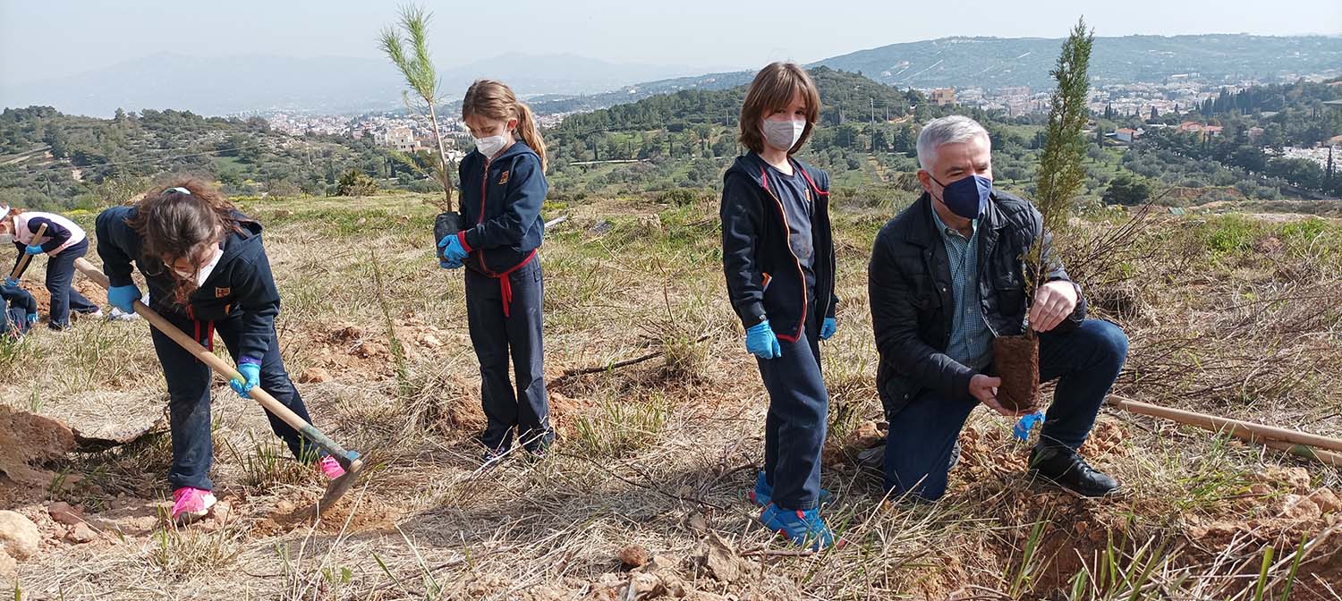 Δήμος Παιανίας: Επιπλέον 1.000 δέντρα στην παλαιά χωματερή - Ξεκινά μεγάλο πρόγραμμα δενδροφύτευσης