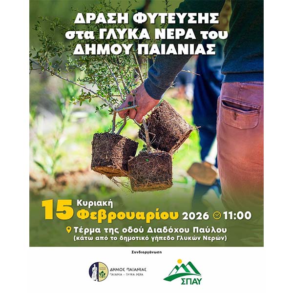 ΔΗΜΟΣ ΠΑΙΑΝΙΑΣ ΚΑΙ ΣΠΑΥ ΣΕ ΝΕΑ ΔΡΑΣΗ ΔΕΝΔΡΟΦΥΤΕΥΣΗΣ