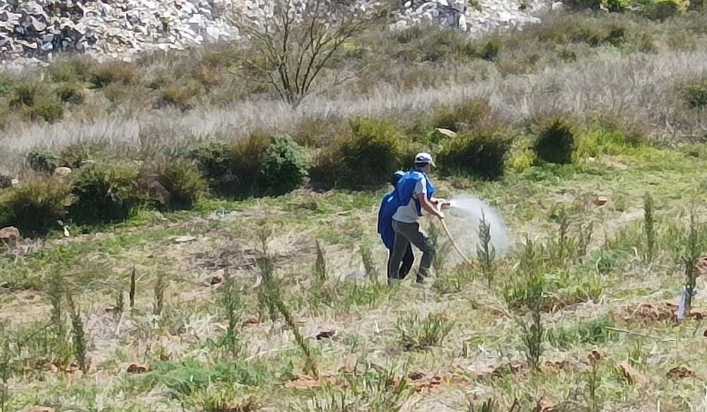 Δήμος Παιανίας: Επιπλέον 500 νέα δέντρα στην παλαιά χωματερή με την στήριξη της ΚΑΥΚΑΣ
